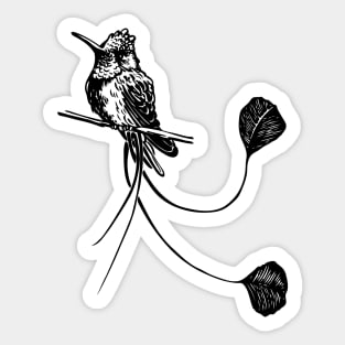 hummingbird Sticker